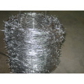 Barbed Wire (3-6 Inch)